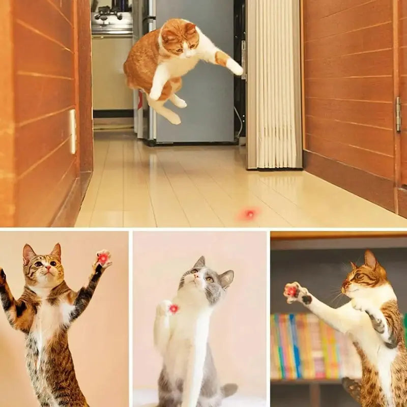 Rechargeable Green Laser Pointer & Line Light Flashlight – Long Range Presentation Pen, Office Tool & Interactive Cat Toy for Pets